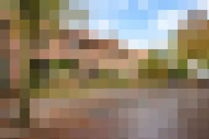 Primulastraat 4 Zwolle thumbnail 24