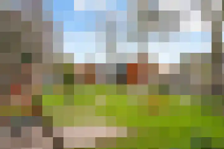 Primulastraat 4 Zwolle thumbnail 28