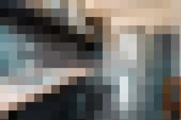 Primulastraat 4 Zwolle thumbnail 8