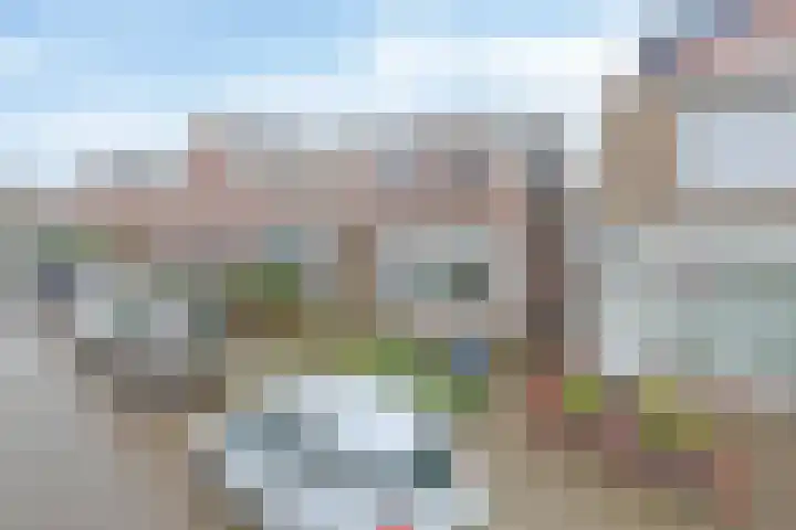 Primulastraat 5 Almelo thumbnail 24