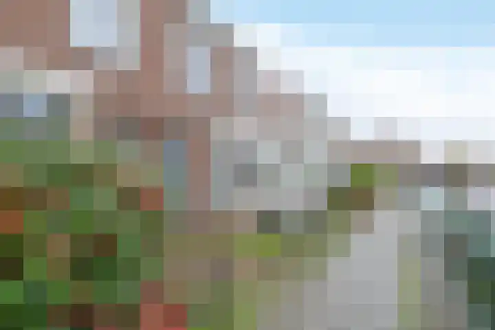 Primulastraat 5 Almelo thumbnail 25