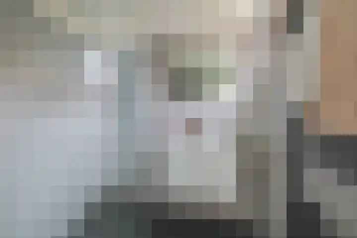 Primulastraat 5 Almelo thumbnail 4