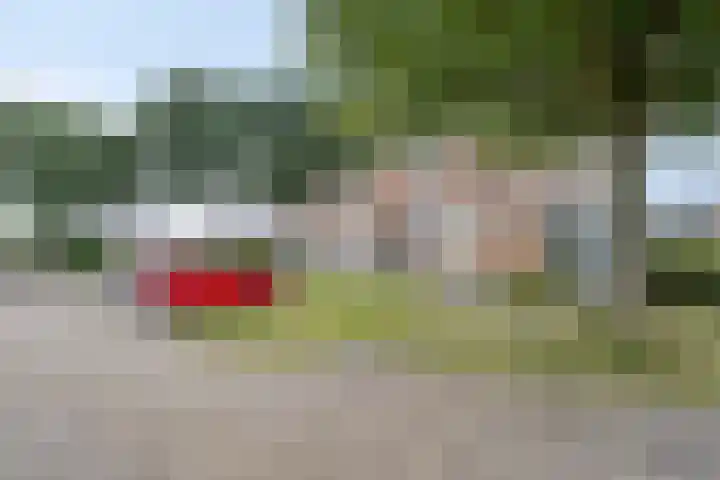 Primulastraat 5 Heerenveen thumbnail 27