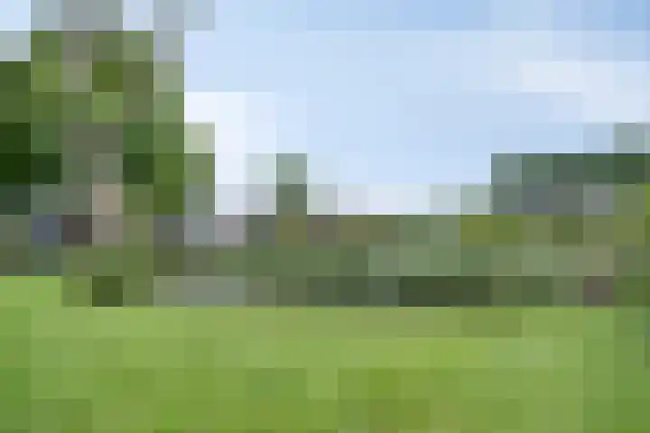 Primulastraat 5 Heerenveen thumbnail 32