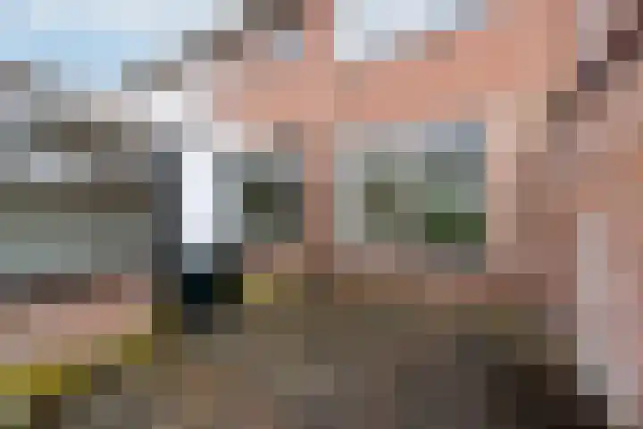 Primulastraat 52 Heerenveen thumbnail 20