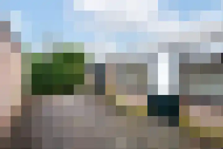 Primulastraat 52 Heerenveen thumbnail 22
