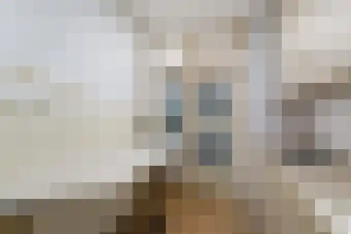 Primulastraat 52 Heerenveen thumbnail 6