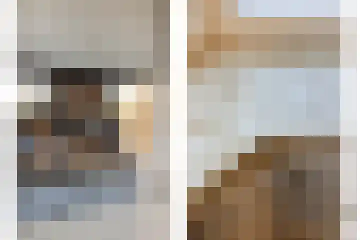 Primulastraat 59 Eindhoven thumbnail 10