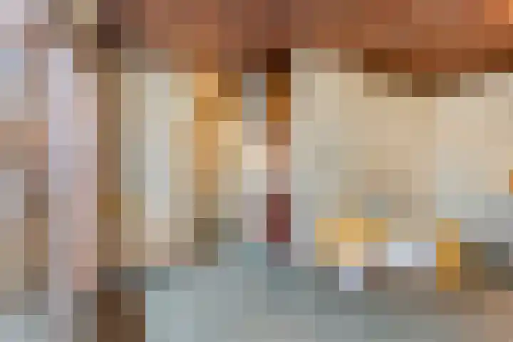 Primulastraat 59 Eindhoven thumbnail 18