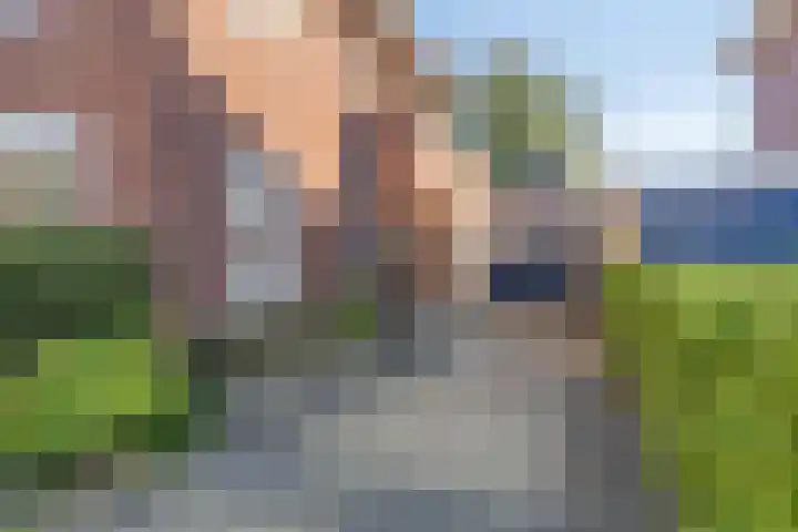 Primulastraat 59 Eindhoven thumbnail 45