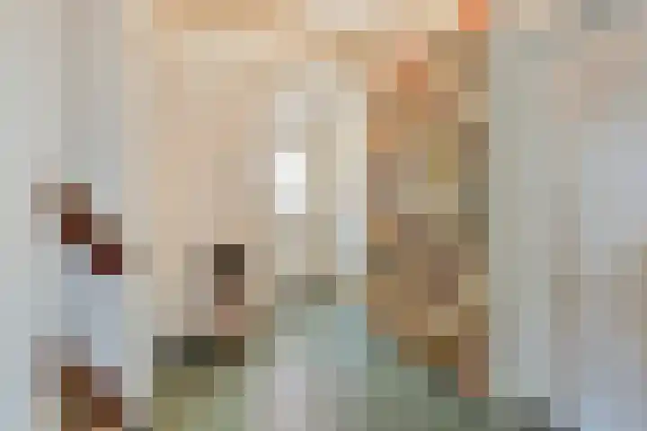Primulastraat 59 Eindhoven thumbnail 6