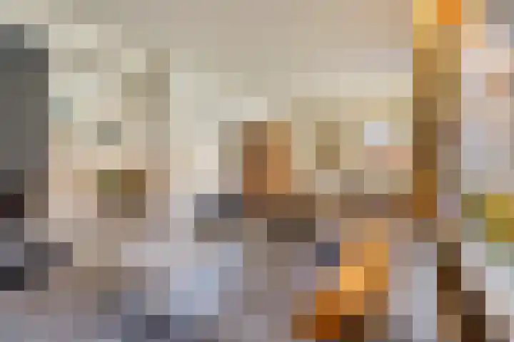 Primulastraat 59 Eindhoven thumbnail 8