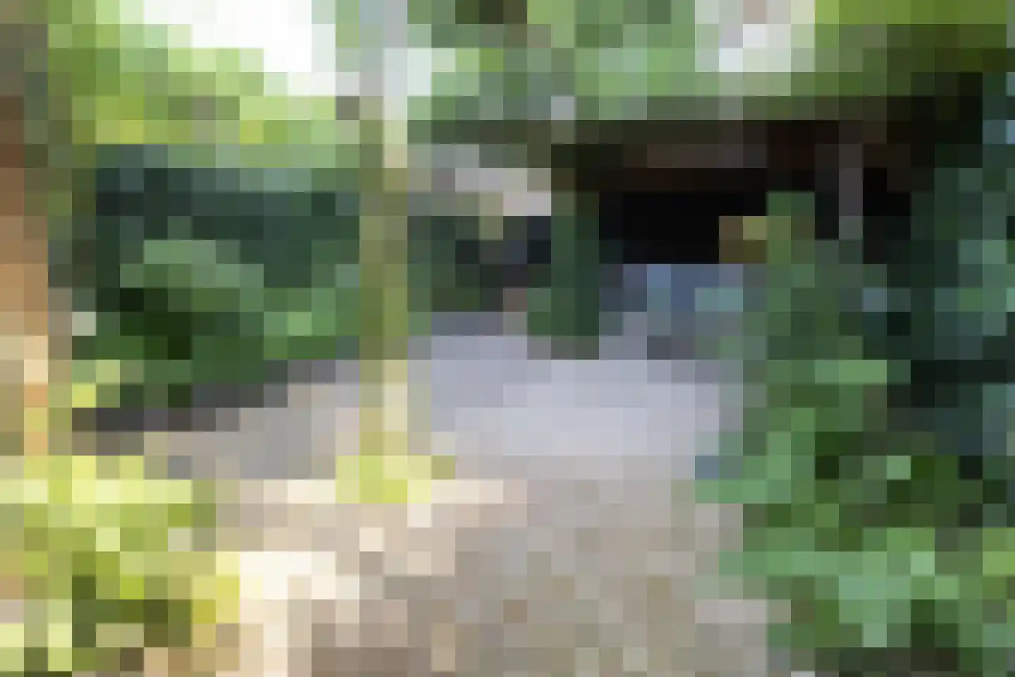 Primulaveld 8 Bergen op Zoom thumbnail 18