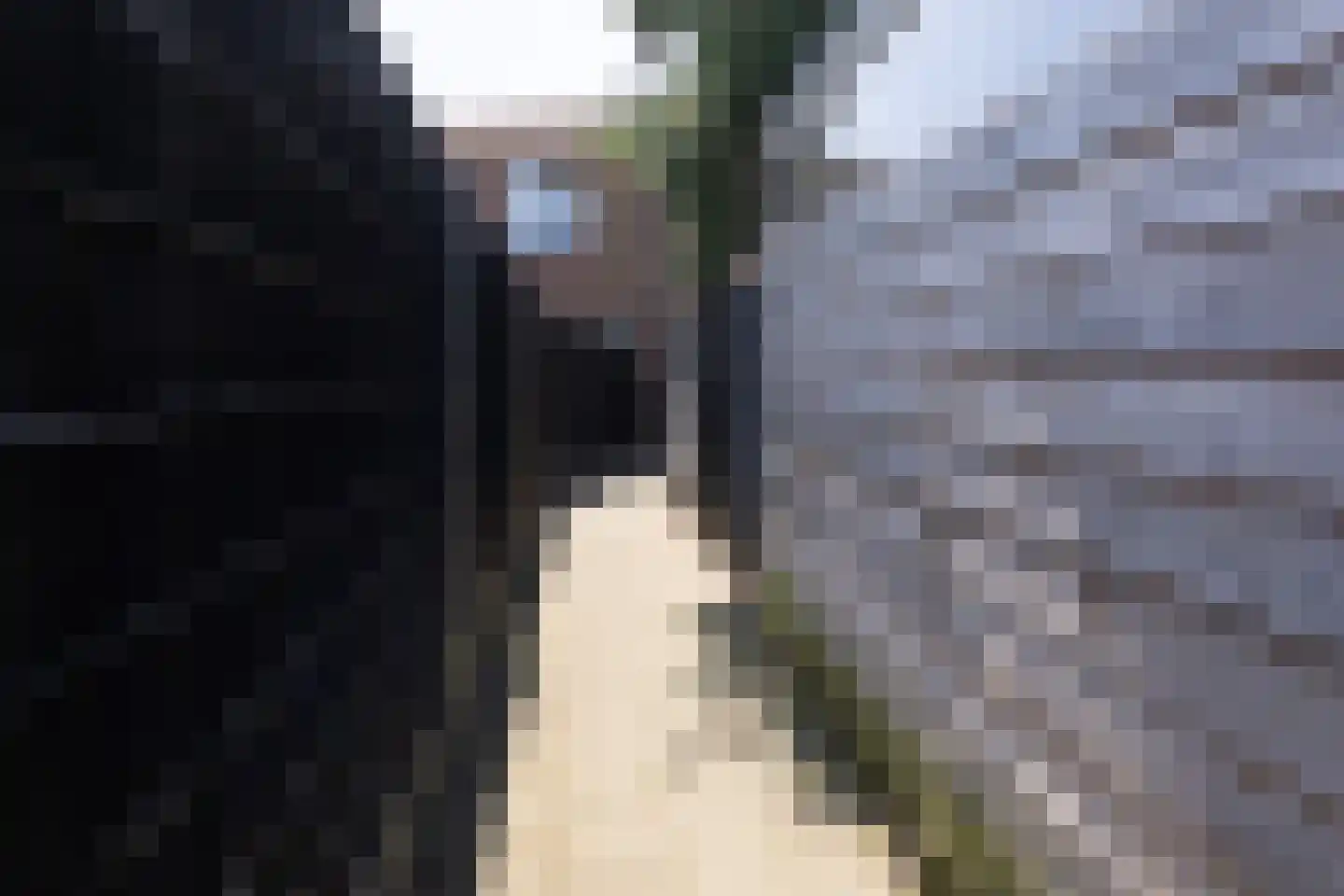 Primulaveld 8 Bergen op Zoom thumbnail 32
