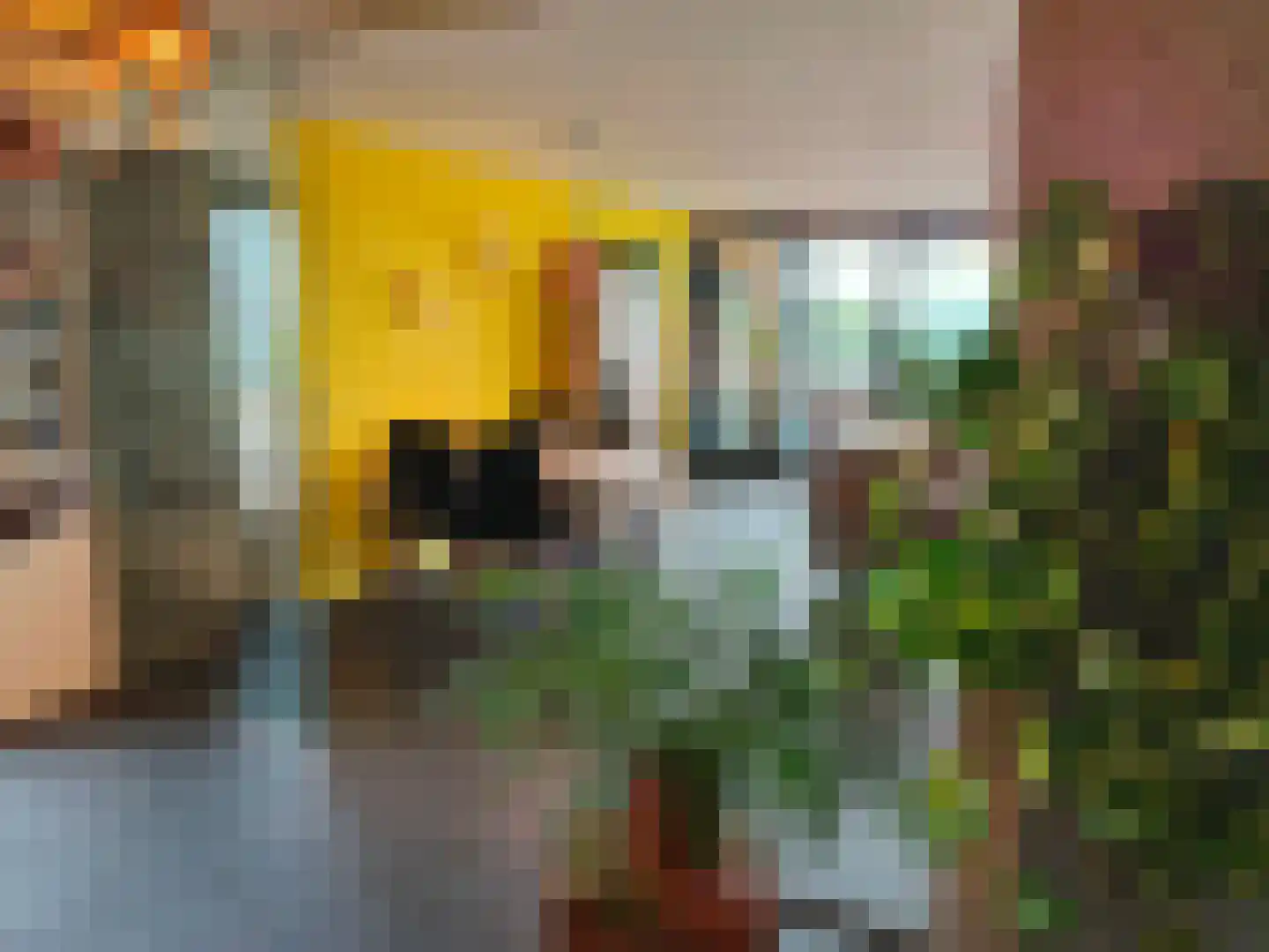 Primus van Gilspark 18 Tilburg thumbnail 6