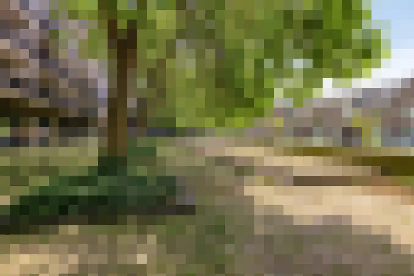 Primus van Gilspark 27 Tilburg thumbnail 27