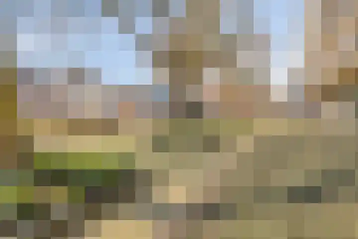 Primus van Gilspark 9 Tilburg thumbnail 22