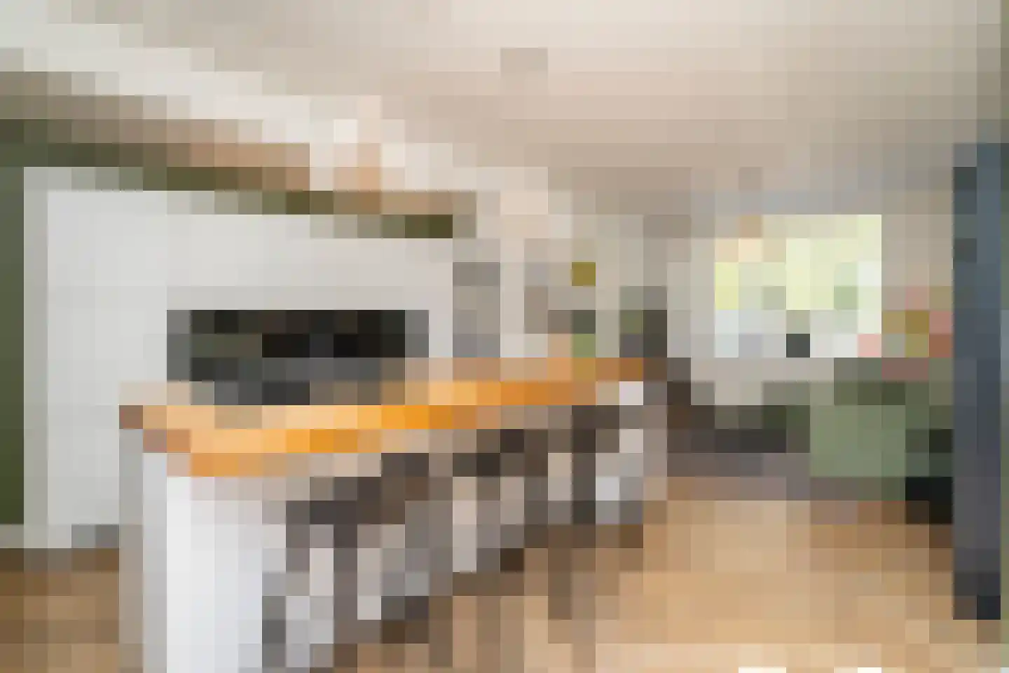Primus van Gilsstraat 24 Tilburg thumbnail 14