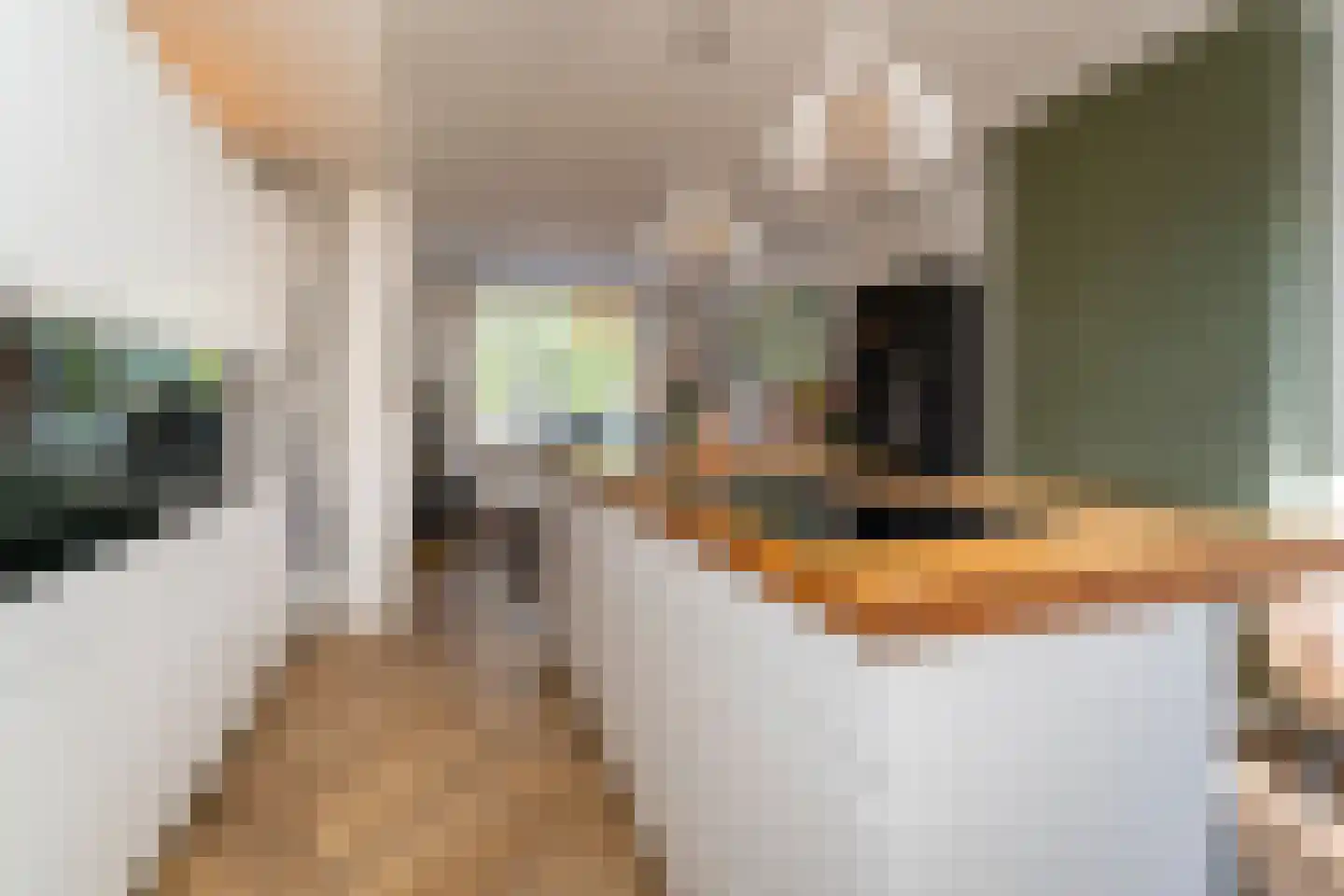 Primus van Gilsstraat 24 Tilburg thumbnail 16