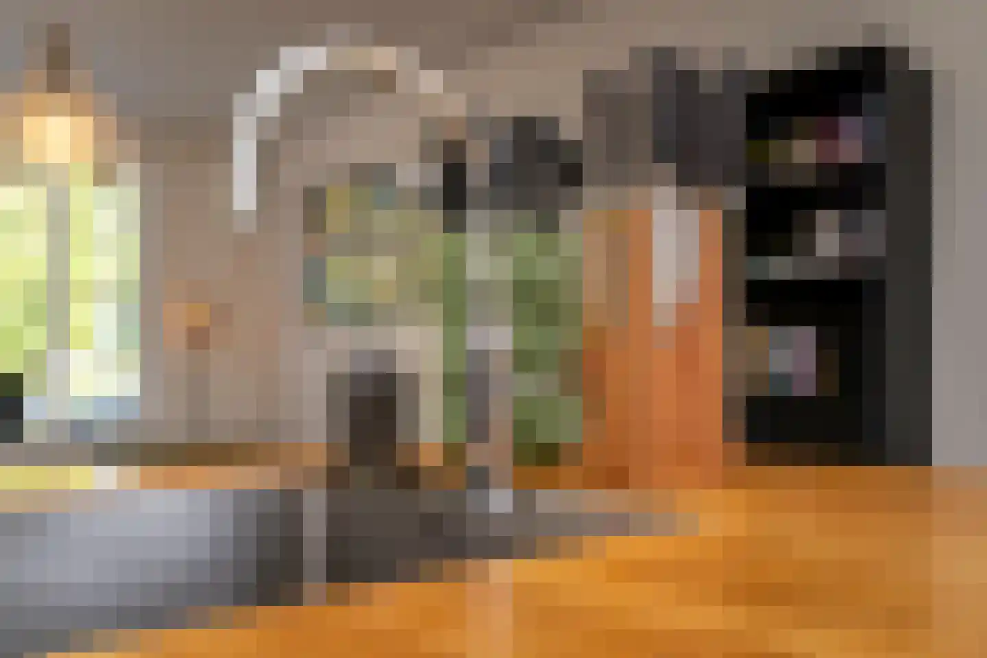 Primus van Gilsstraat 24 Tilburg thumbnail 18