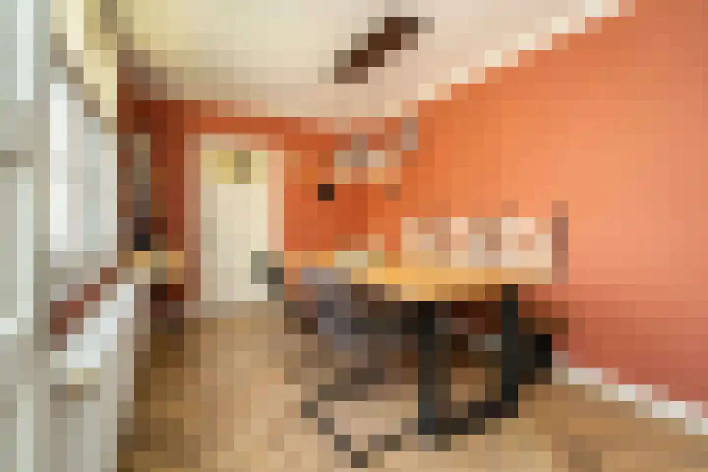 Primus van Gilsstraat 24 Tilburg thumbnail 20
