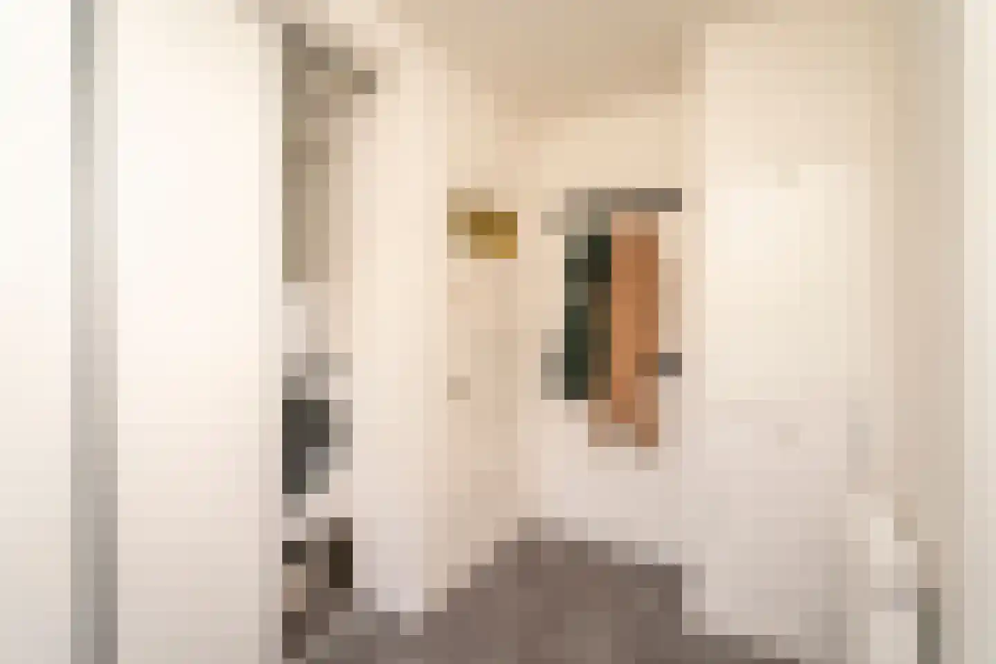 Primus van Gilsstraat 24 Tilburg thumbnail 22