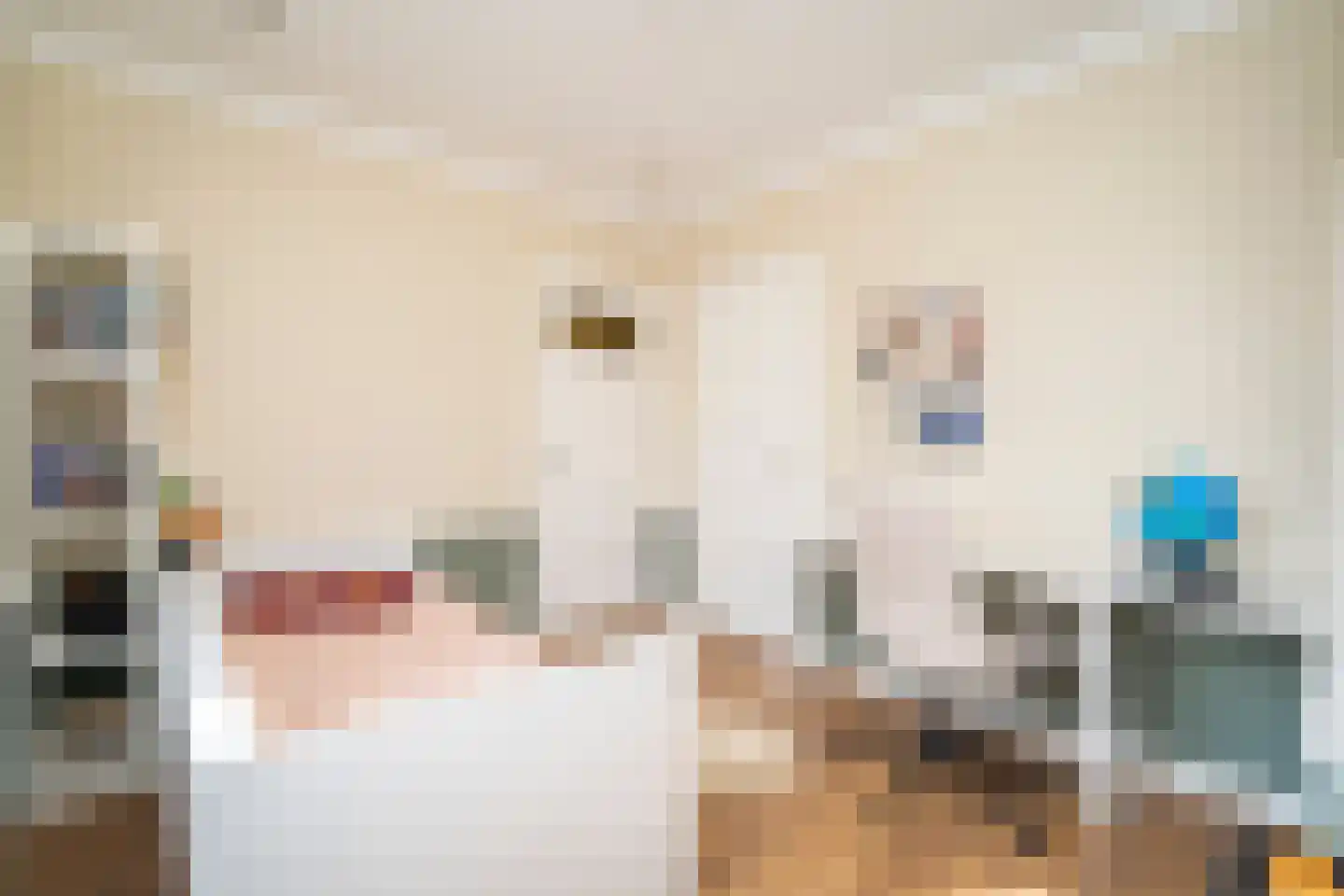 Primus van Gilsstraat 24 Tilburg thumbnail 29