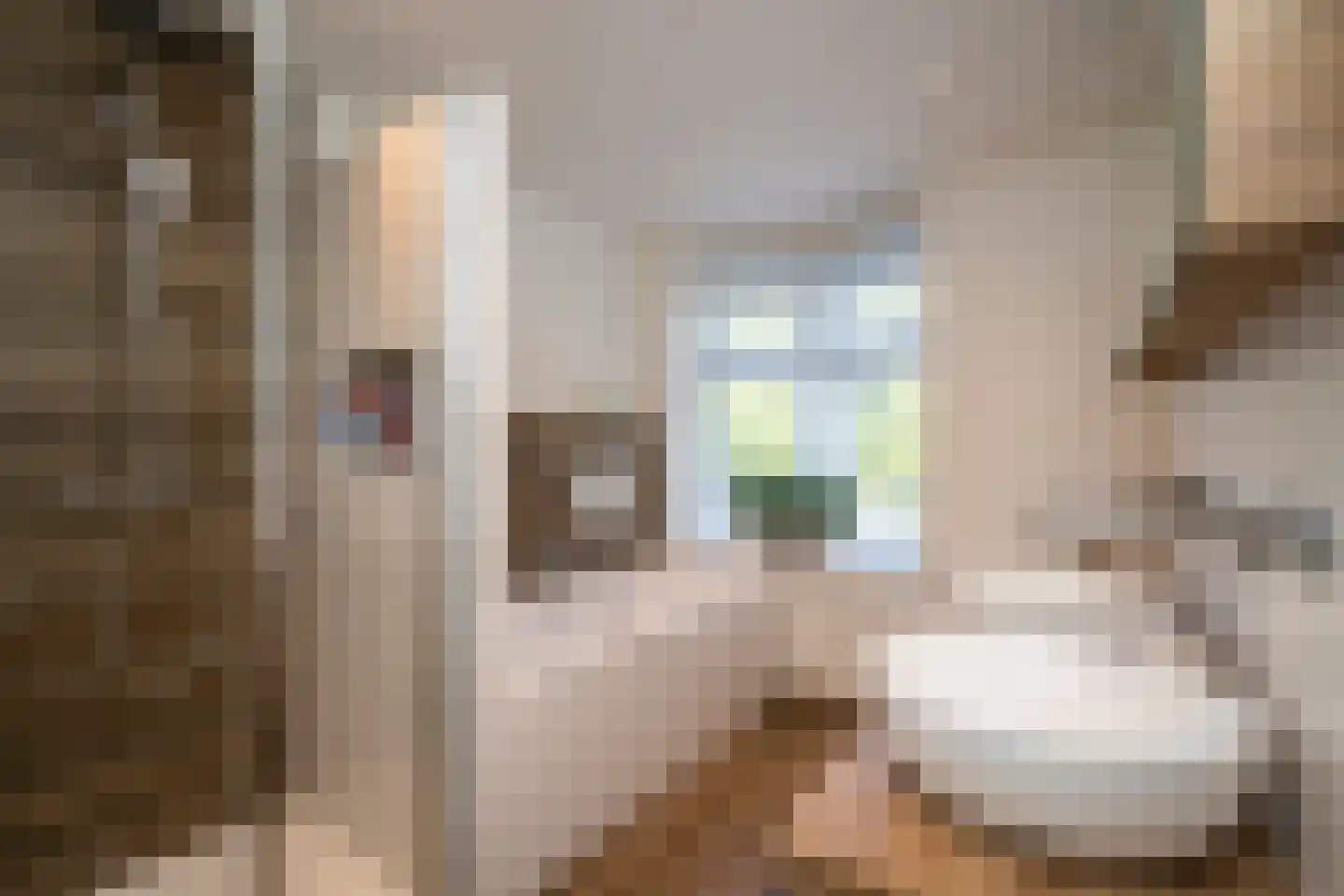 Primus van Gilsstraat 24 Tilburg thumbnail 32