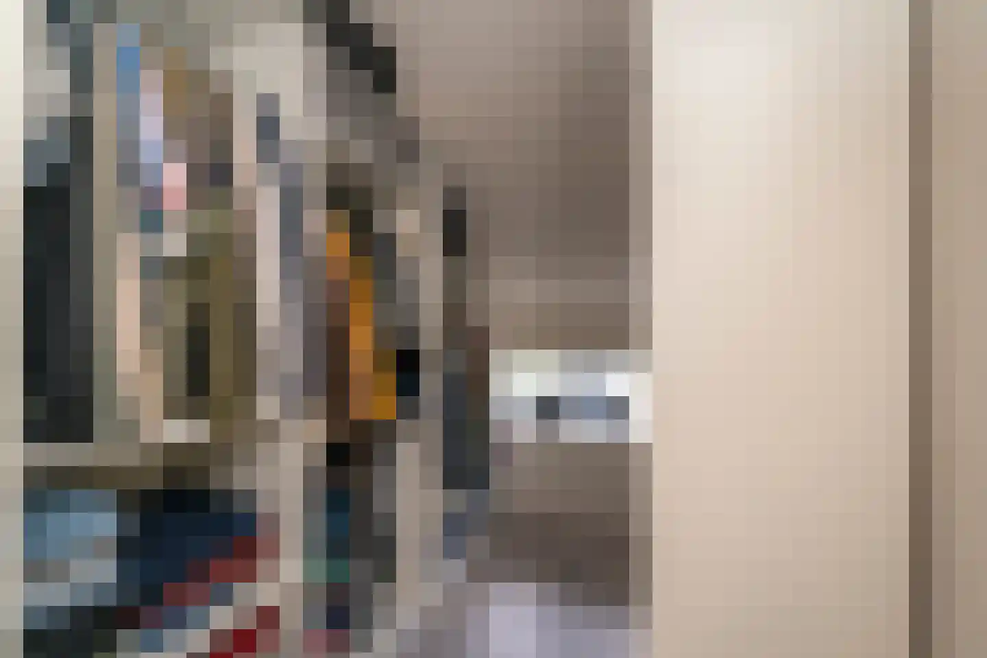 Primus van Gilsstraat 24 Tilburg thumbnail 36