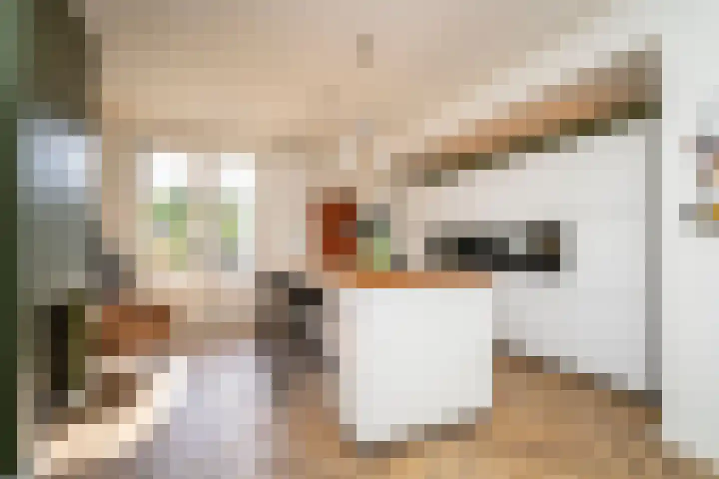 Primus van Gilsstraat 24 Tilburg thumbnail 4
