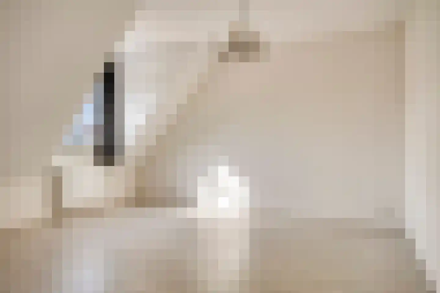 Princéehof 12 Oirschot thumbnail 32