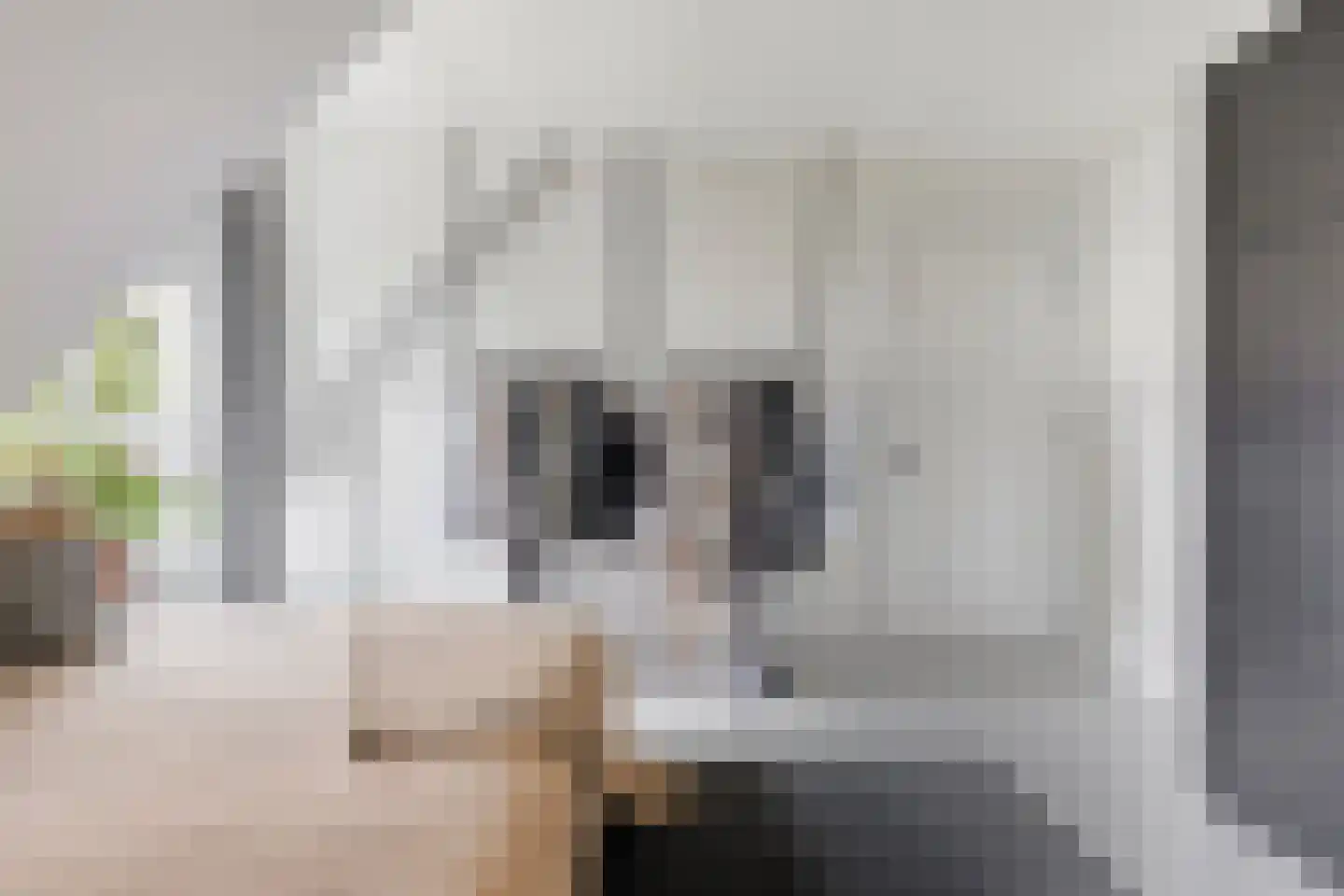 Princéehof 15 Oirschot thumbnail 37