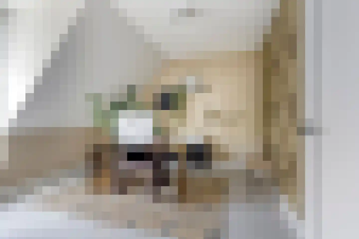 Princéehof 15 Oirschot thumbnail 38