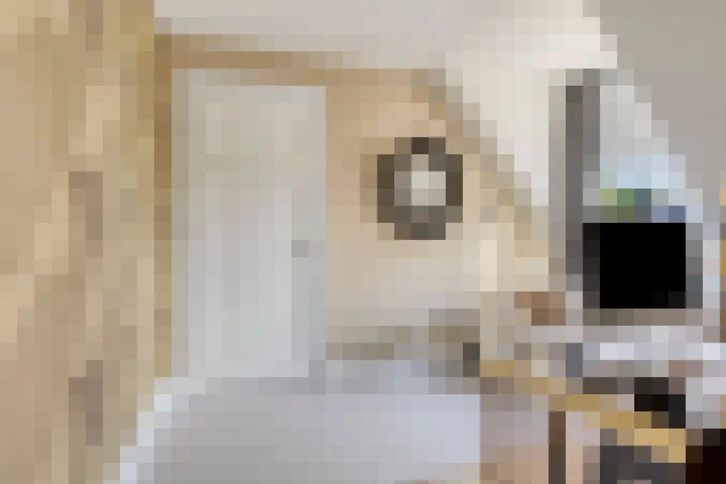 Princéehof 15 Oirschot thumbnail 39