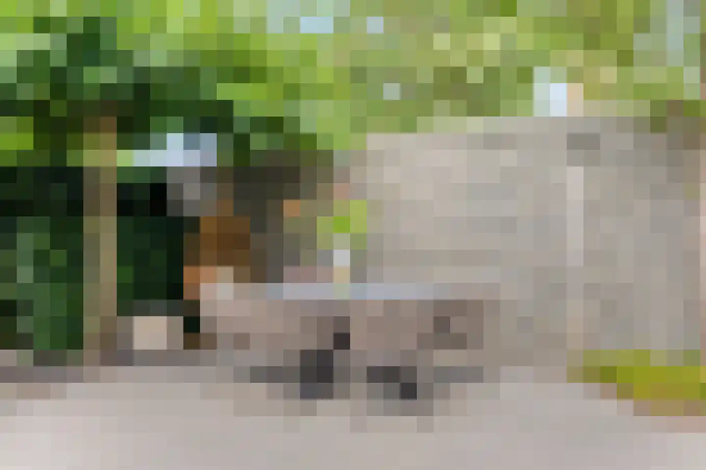 Princéehof 15 Oirschot thumbnail 42