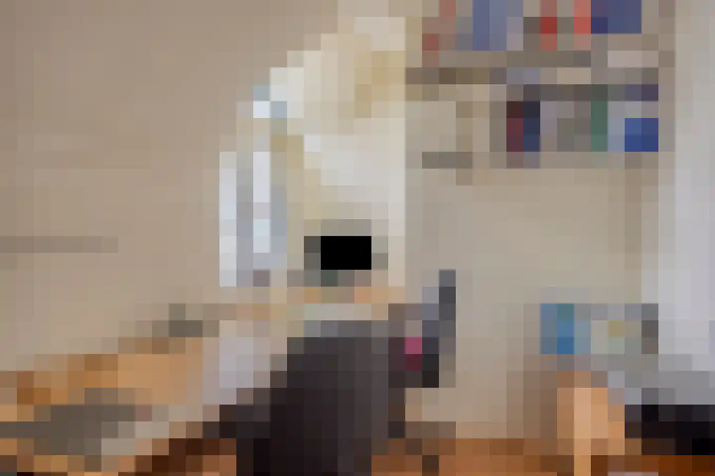 Princehof 22 Eefde thumbnail 10