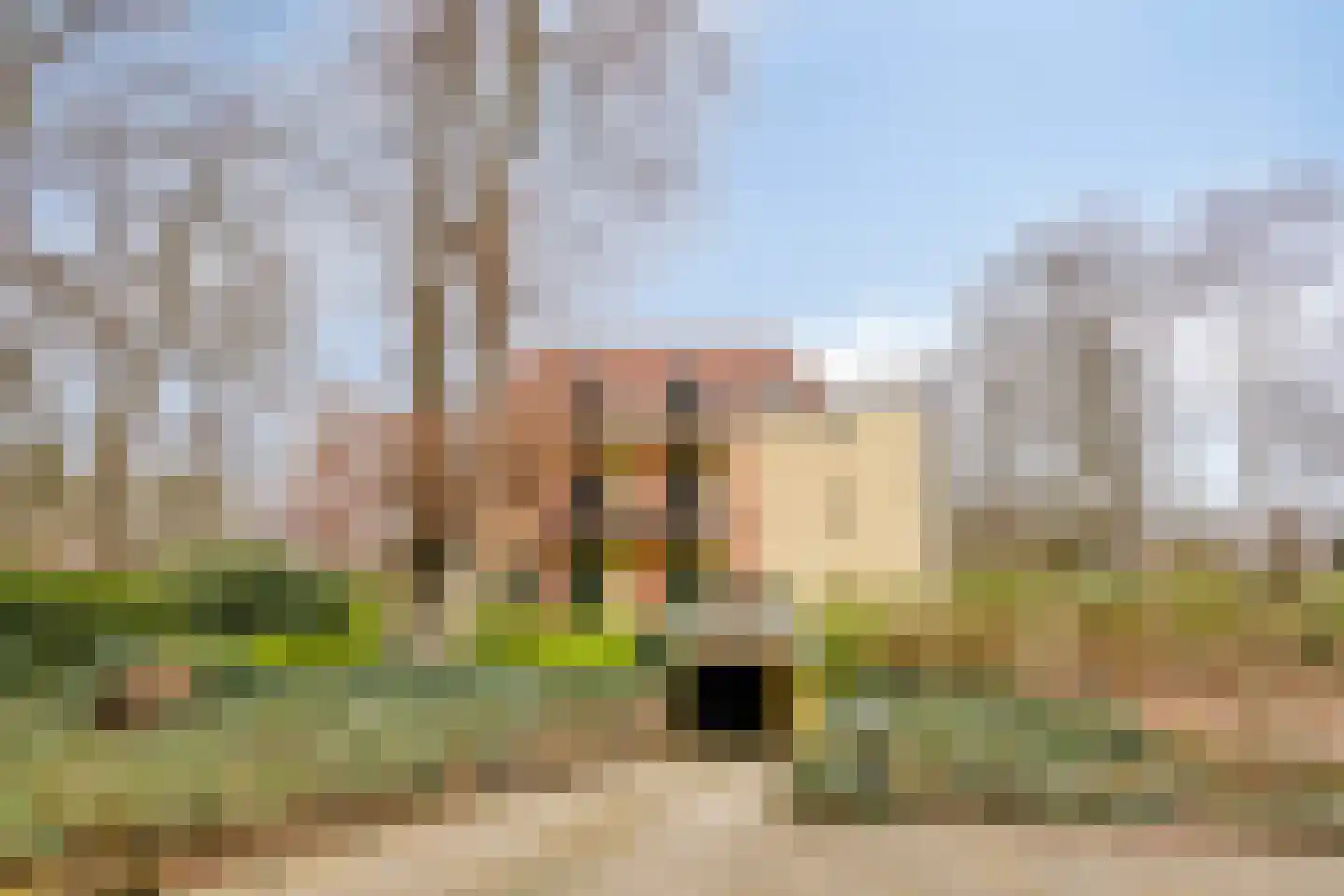Princehof 22 Eefde thumbnail 24