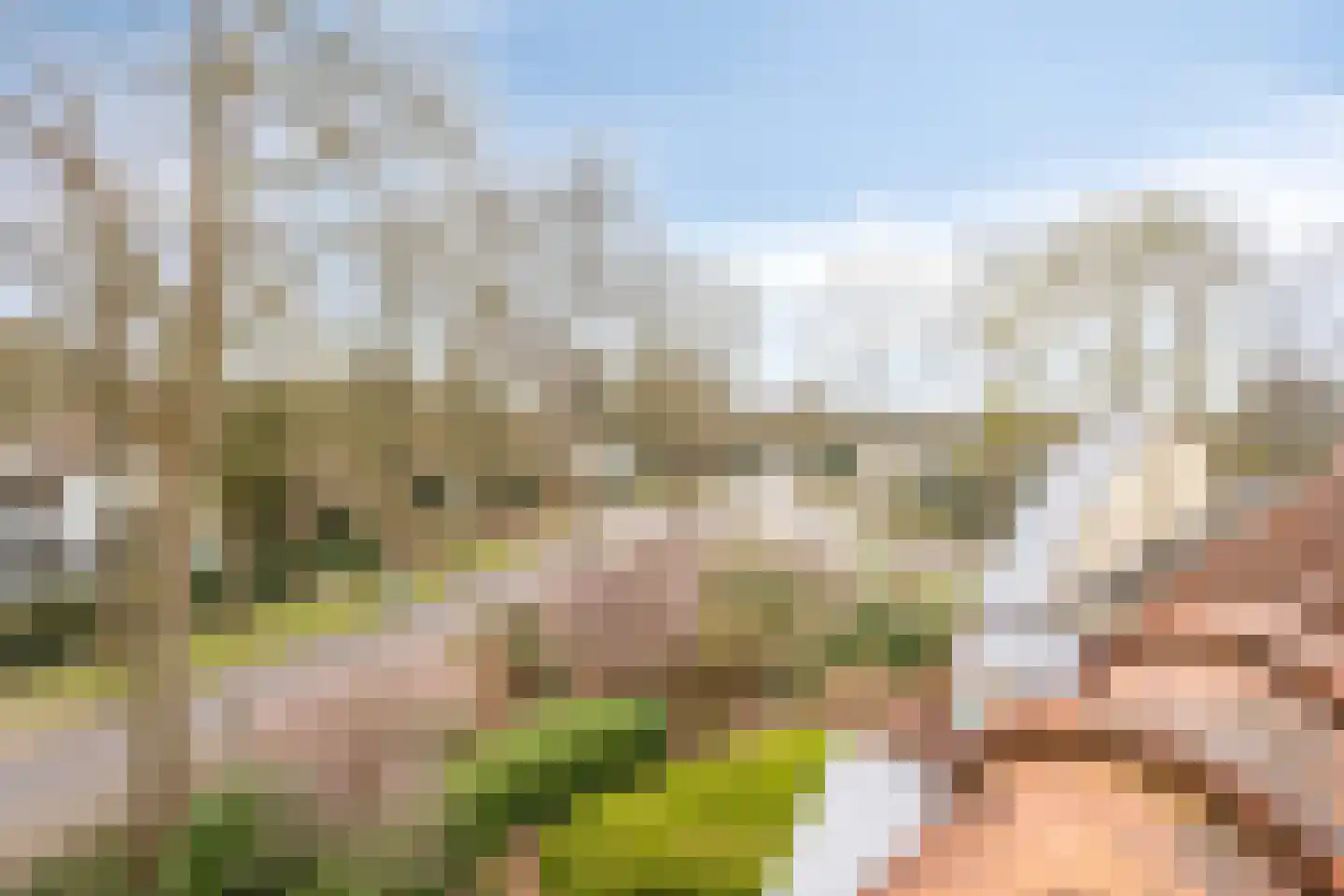 Princehof 22 Eefde thumbnail 36
