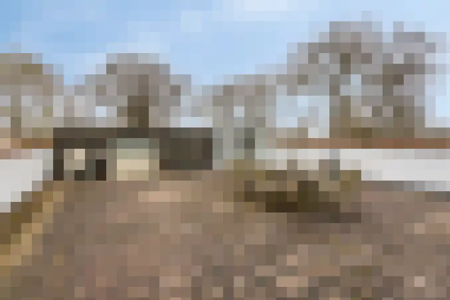 Princehof 22 Eefde thumbnail 39