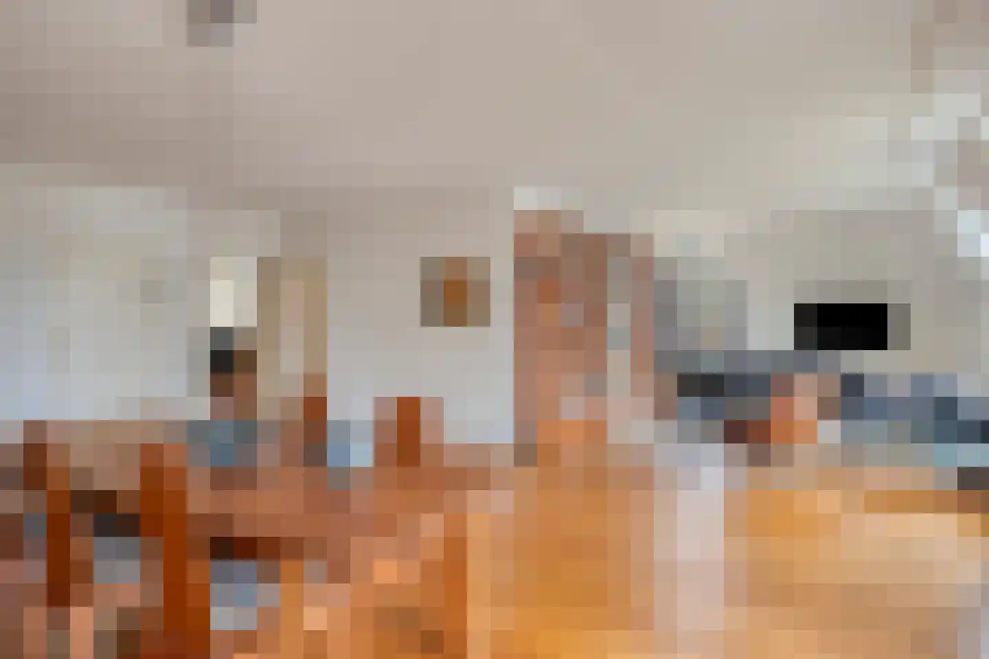 Princehof 22 Eefde thumbnail 5