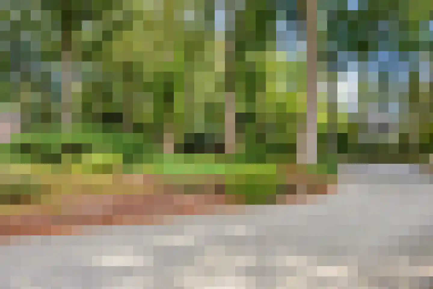 Princehof 8 Eefde thumbnail 21