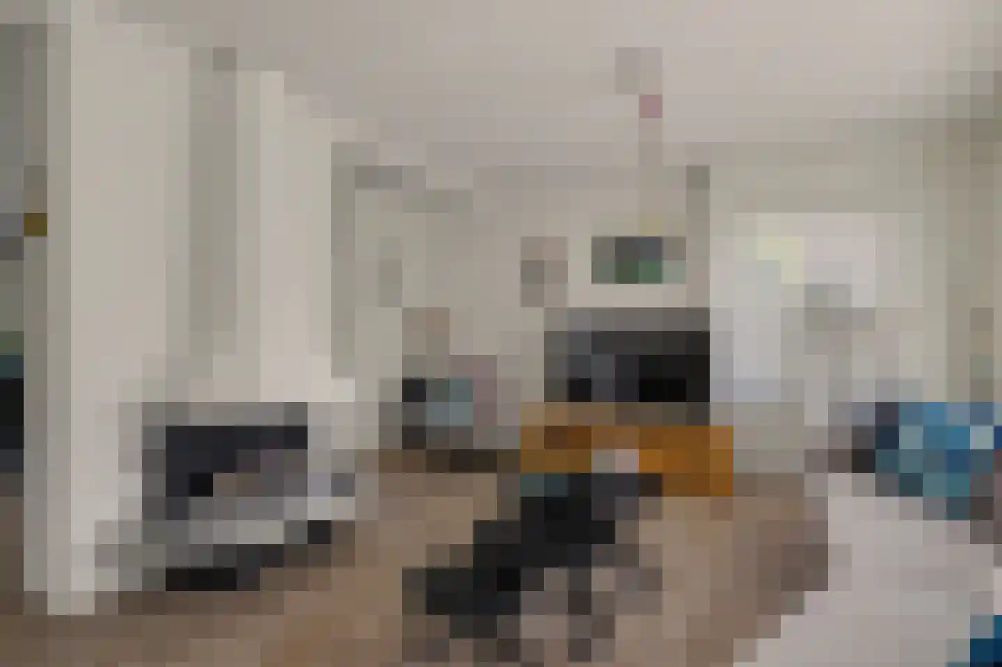 Princenhil 26 Lage Zwaluwe thumbnail 10