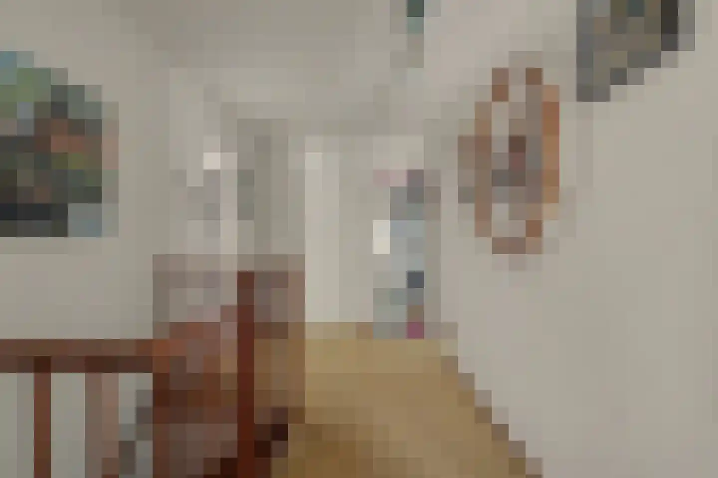 Princenhil 26 Lage Zwaluwe thumbnail 37