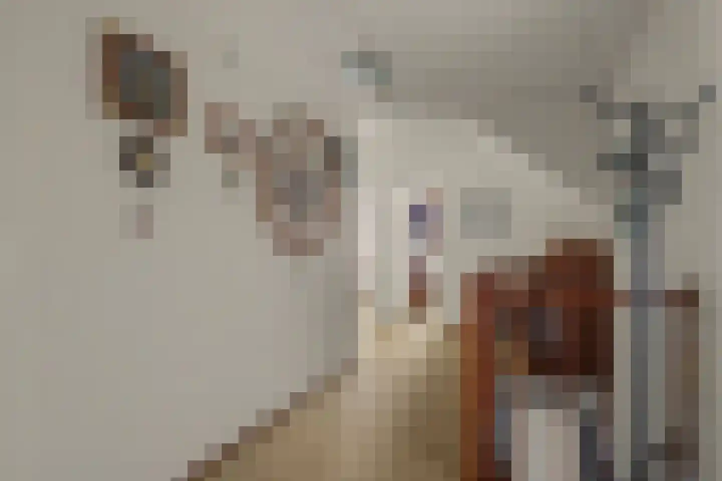 Princenhil 26 Lage Zwaluwe thumbnail 38