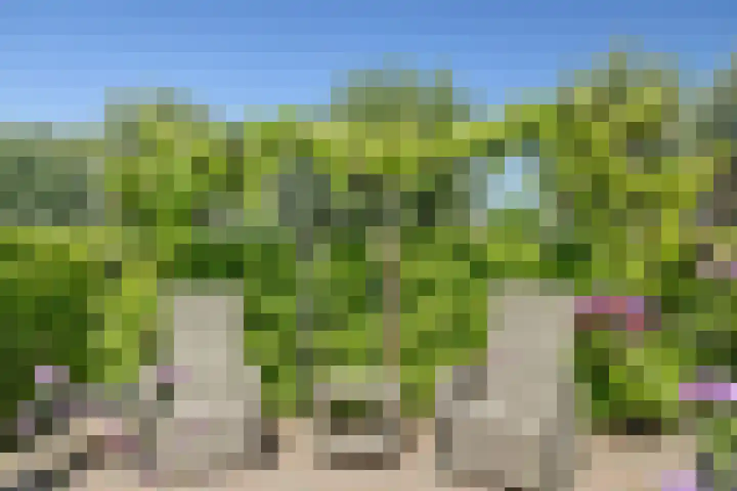 Princenhil 26 Lage Zwaluwe thumbnail 62