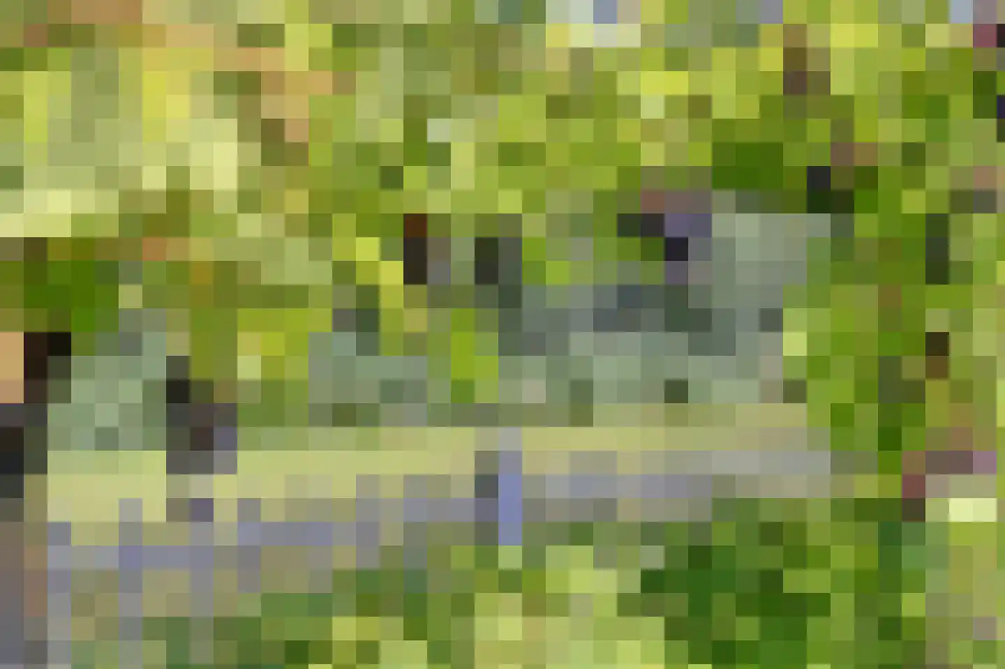 Princenhil 26 Lage Zwaluwe thumbnail 63