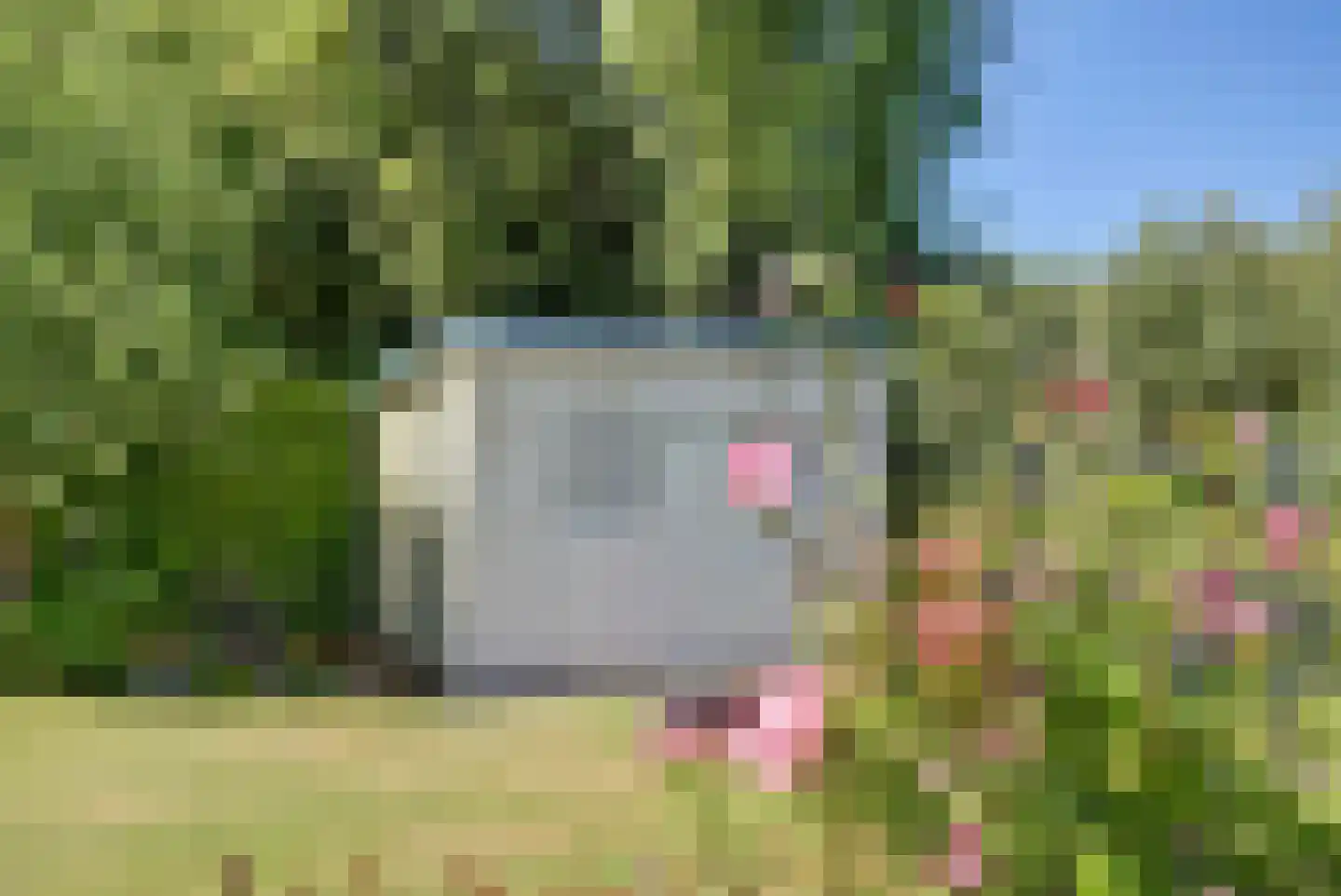 Princenhil 26 Lage Zwaluwe thumbnail 64