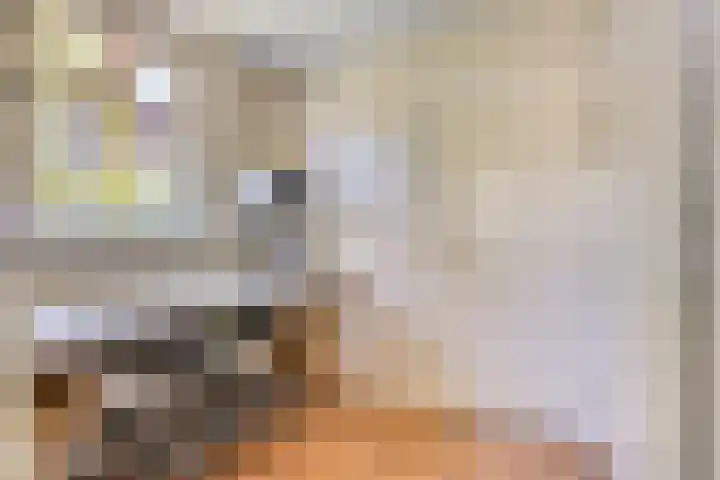 Princenhil 27 Lage Zwaluwe thumbnail 18