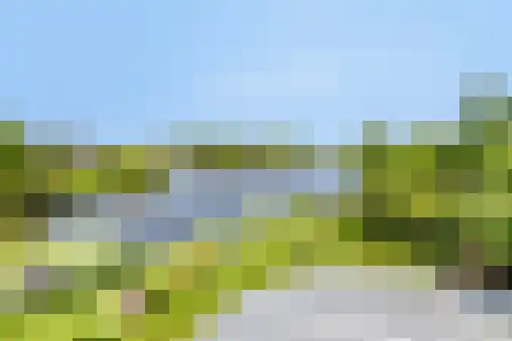Princenhil 27 Lage Zwaluwe foto 2