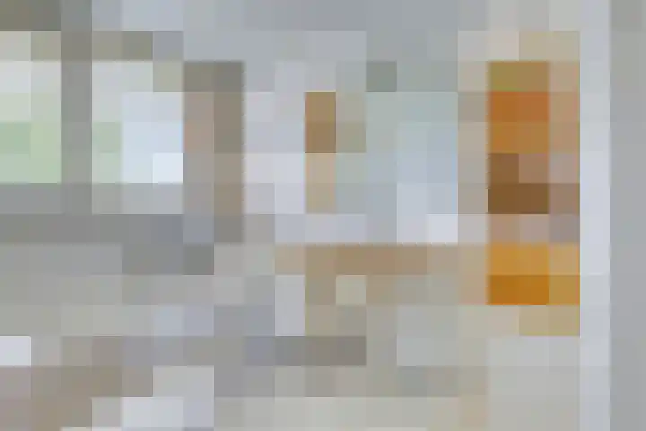 Princenhil 27 Lage Zwaluwe thumbnail 24